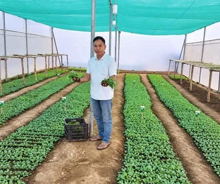Seedlings Of Change