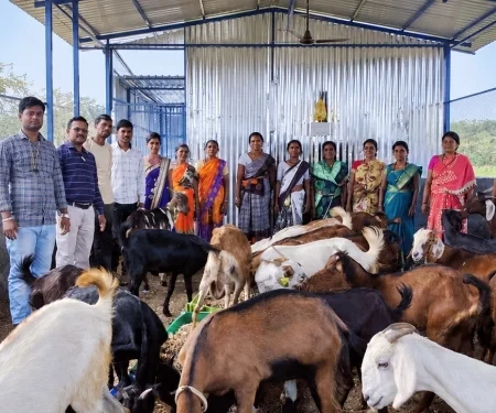 Women SHGs Earn Through Goat Rearing