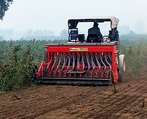 An eco-friendly way to safeguard our cotton