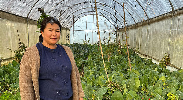 From fallow fields to flourishing farms