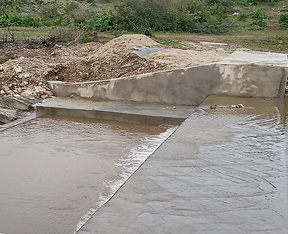 The way of water