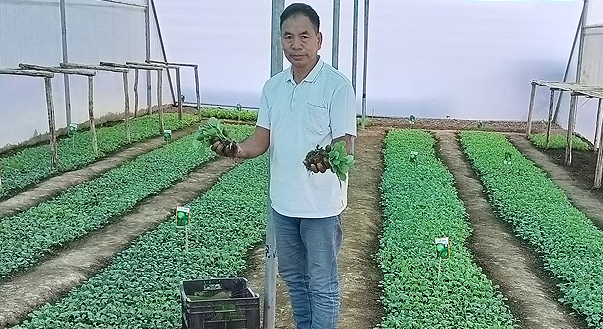 Seedlings of change