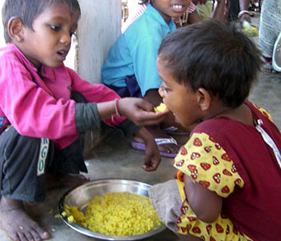 Every morsel is now packed with essential nutrients necessary for growth Every morsel is now packed with essential nutrients necessary for growth