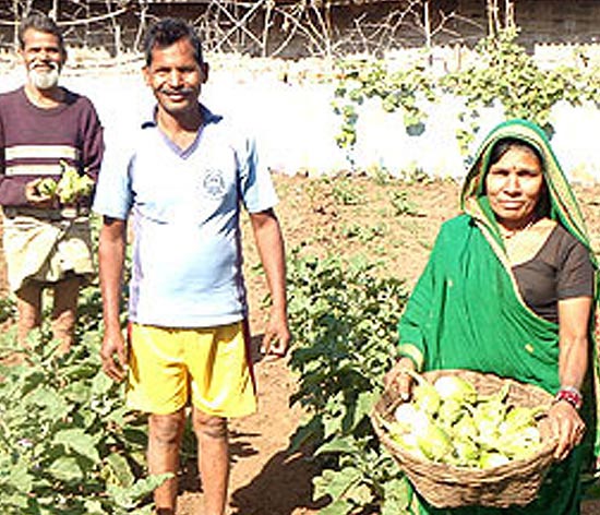 Sinkibai with her sweet fruits of hard labour