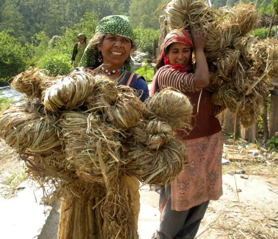 Parvati Devi went from having no means of income to being self- sufficient