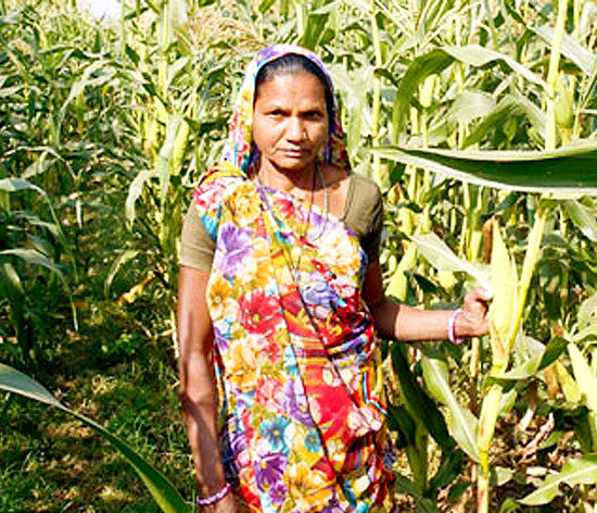 Tata Trusts’ ‘Lakhpati Kisan: Smart Villages’ programme has touched nearly 96,000 tribal households of the Central Indian belt. Tata Trusts’ ‘Lakhpati Kisan: Smart Villages’ programme has touched nearly 96,000 tribal households of the Central Indian belt.