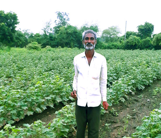 The Perfect Harvest Farmer Producer Company, is formed under the Sukhi Baliraja Initiative (SBI) of Tata Trusts The Perfect Harvest Farmer Producer Company, is formed under the Sukhi Baliraja Initiative (SBI) of Tata Trusts